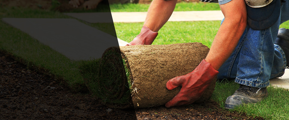 Dell Rapids Landscapers